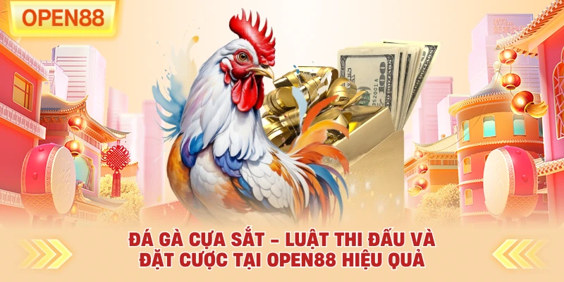 Đá Gà Cựa Sắt - Luật Thi Đấu Và Đặt Cược Tại OPEN88 Hiệu Quả